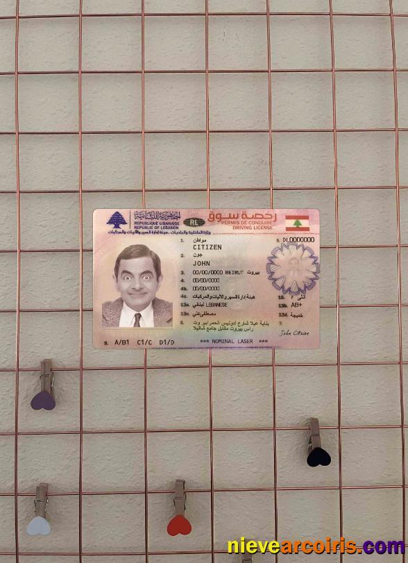 Lebanon driving license version 2 photolook